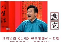 抖音盘它意思解释视频在线观看