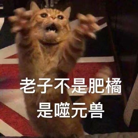 噬元兽橘猫表情包